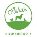 Asha’s Farm Sanctuary