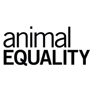 Animal Equality Logo
