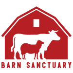 Barn Sanctuary