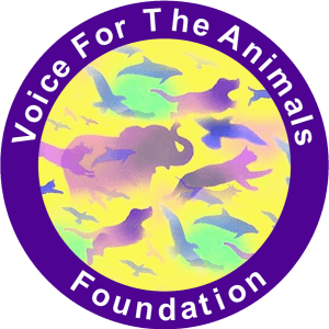 Voice for animal Logo